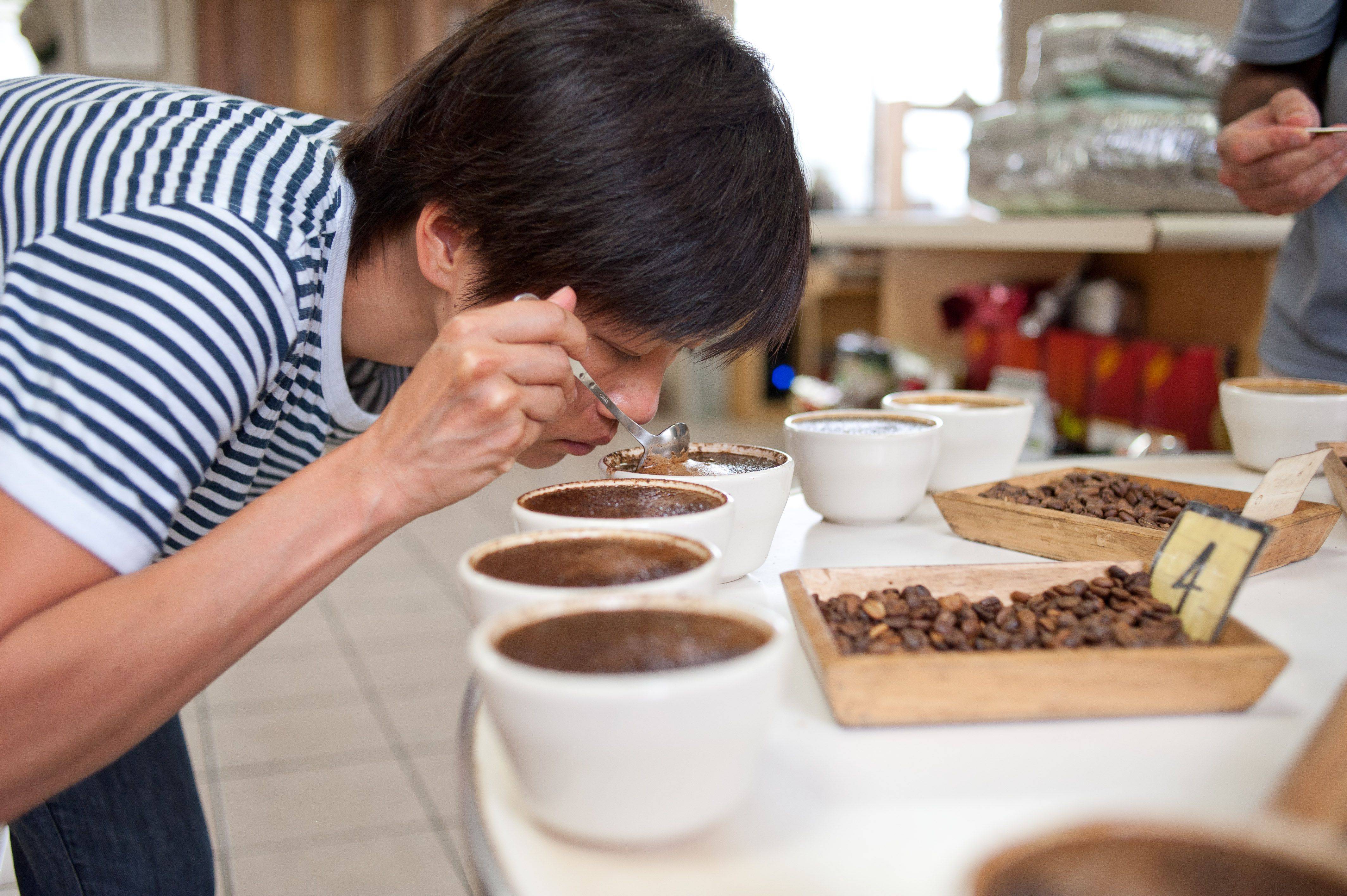 Дегустация кофе. параметры оценки вкуса