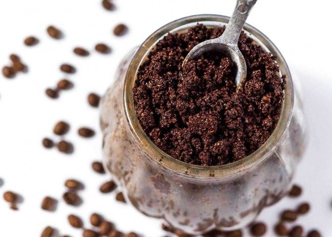 Срок годности и правила хранения натурального и молотого кофе