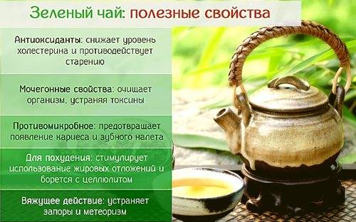 Зеленый чай повышает или понижает давление горячий или холодный. можно ли пить зеленый чай при высоком давлении | здоровье человека