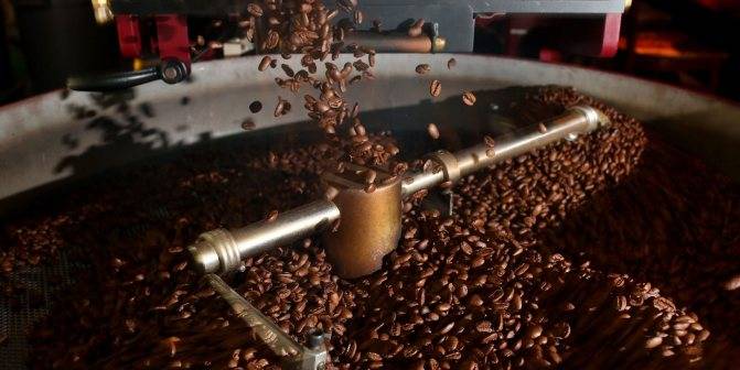Из чего и как делают натуральный и растворимый кофе