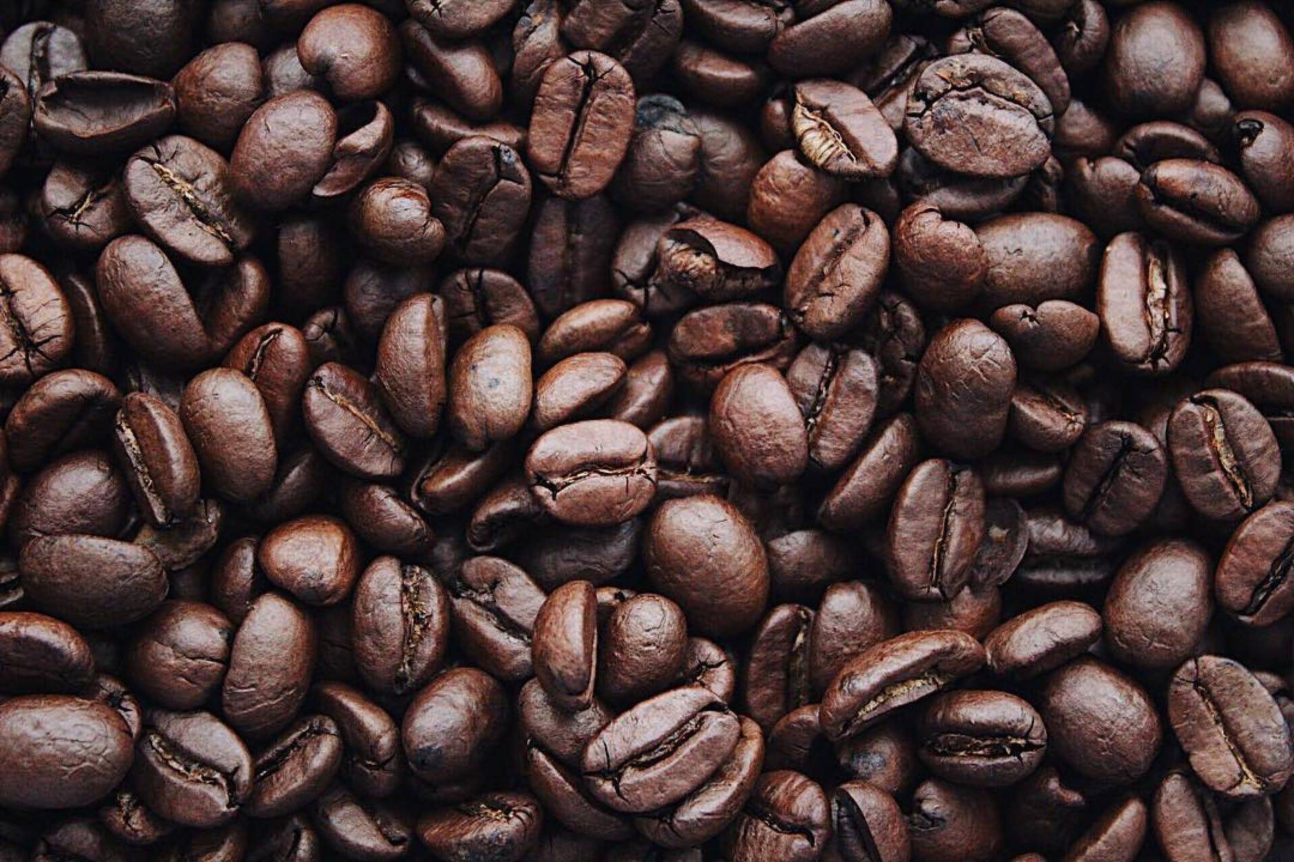 История появления кофе в танзании, сорта и способ приготовления