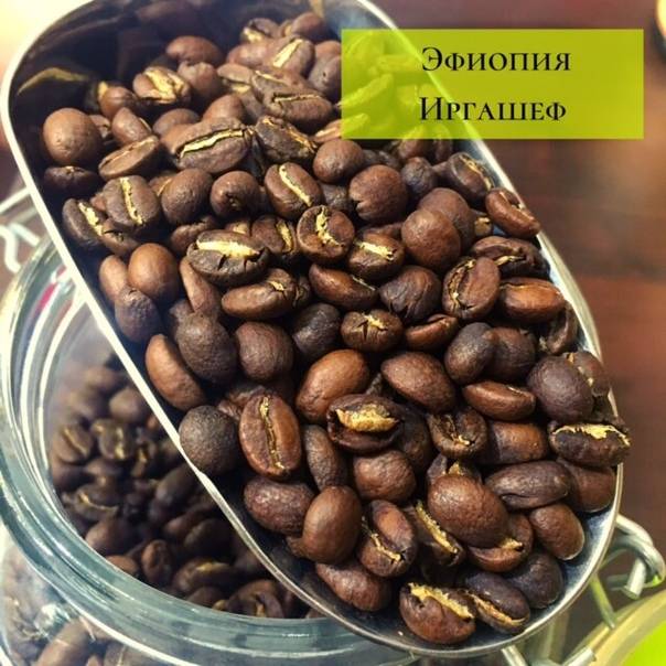 Популярные сорта эфиопского кофе