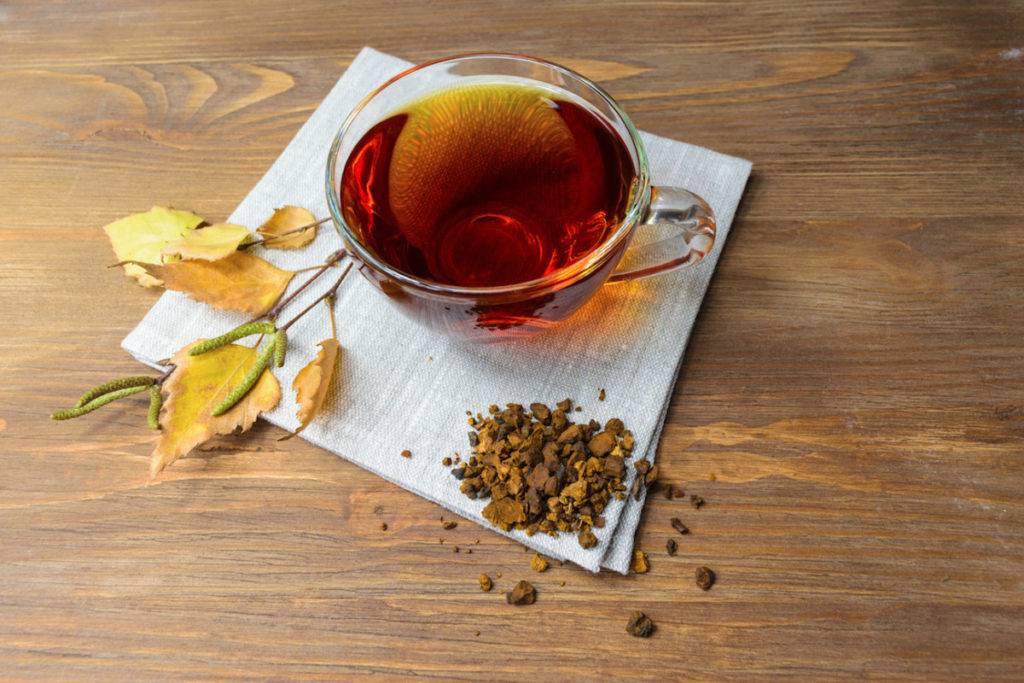7 рецептов чая из чаги (+полезные свойства и противопоказания)