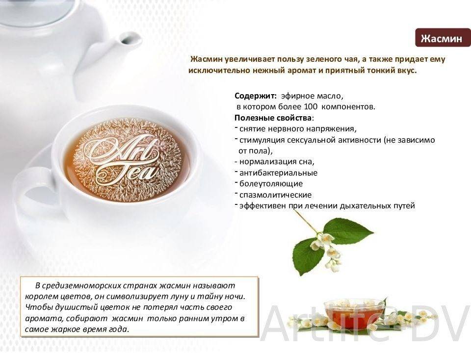 6 полезных веществ жасминового чая. правила чаепития