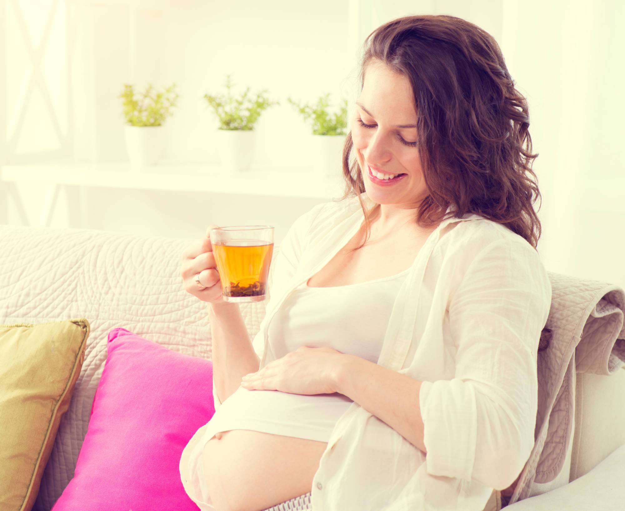 Можно беременным зеленый чай с мелиссой. можно ли мелиссу беременным, не навредит ли она малышу. использование мелиссы на поздних сроках беременности