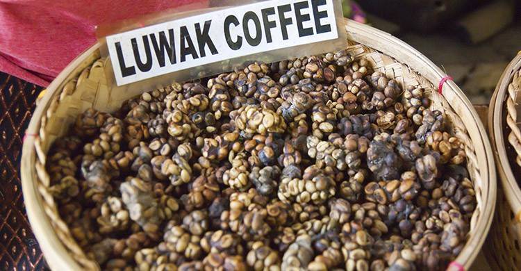 Топ 10 самых дорогих кофе в мире