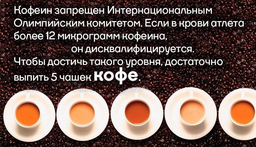 Факты о кофе: что мы не знаем об этом напитке?