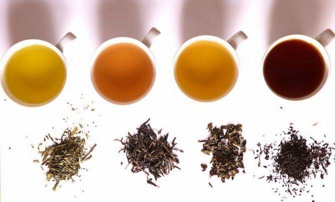 Подробное описание ассортимента чая Тесс (Tess) от традиционного зеленого до напитка с гибискусом