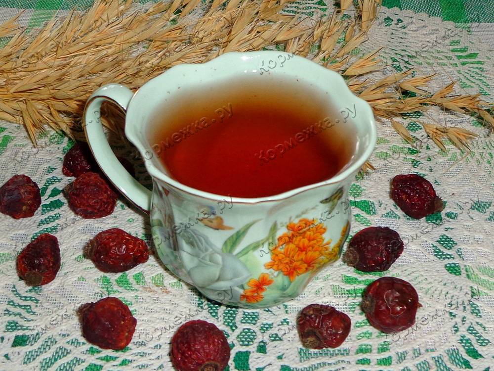 Чай с барбарисом: польза барбарисового отвара