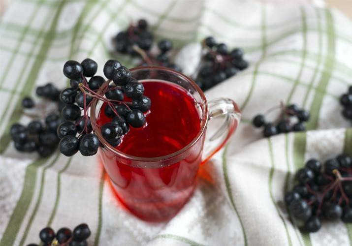 Черноплодная рябина - лечебные свойства, домашние рецепты варенья с фото