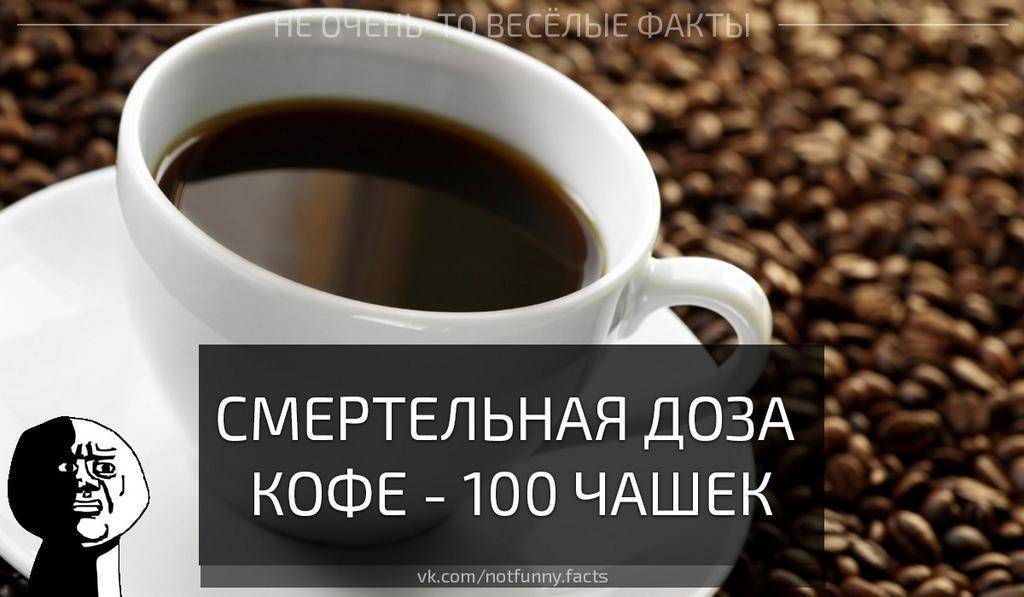 Смертельная доза кофе для человека: в чашках, ложках