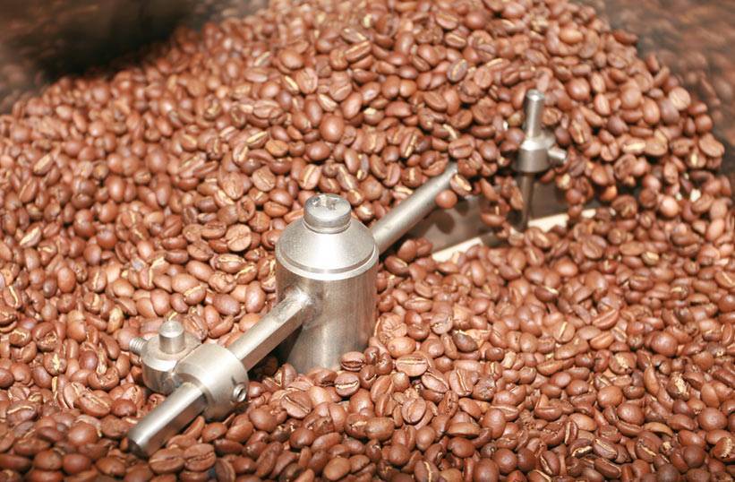 Индийский кофе в зернах: популярные сорта, особенности приготовления