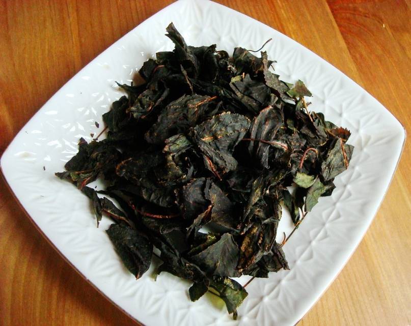 Ферментация листьев смородины для чая в домашних условиях