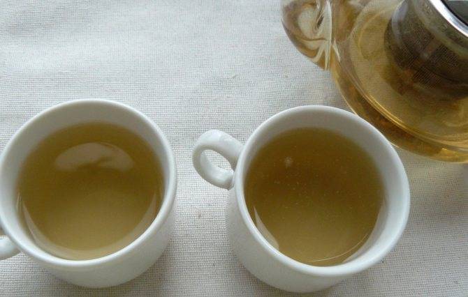 Пьем шаманскую траву саган дайля как целебный чай, продлевающий жизнь
