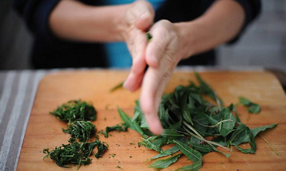 4 способа ферментации Иван-чая в домашних условиях