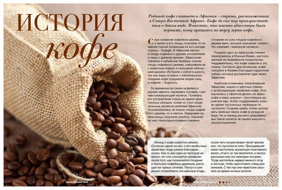 Где выращивают кофе в мире и как оно растет, родина кофе
