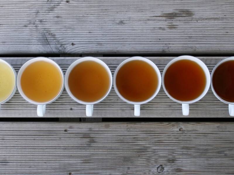 5 отличий ферментированного чая от заварки, не прошедшей ферментацию