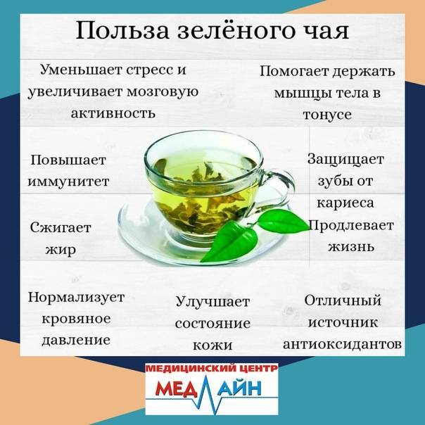 Свойства зеленого чая, какая от него польза. что происходит с организмом, если пить зеленый чай каждый день?
