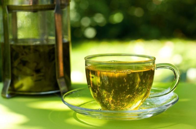 Эффект зеленого чая: повышает или понижает давление