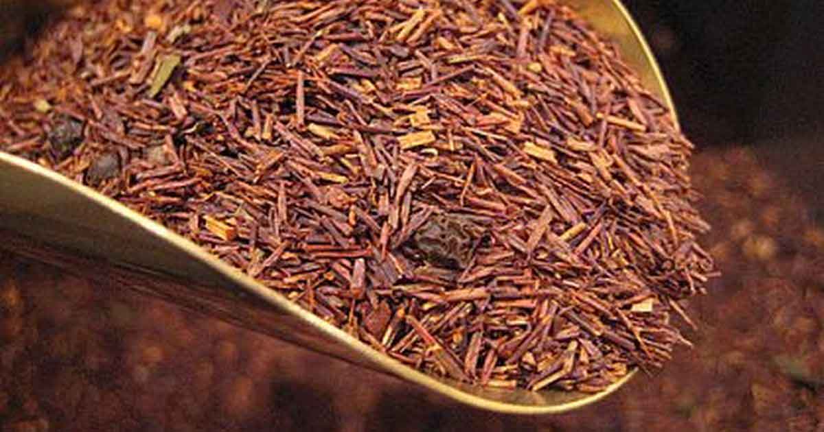 Китайский чай да хун пао: эффект опьянения, полезные свойства красного халата, как правильно заварить, противопоказания, польза и вред