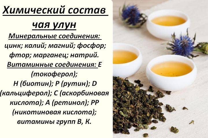 Вся правда о молочном улуне и его ароматизаторах. полезные свойства и вред зеленого чая молочный улун