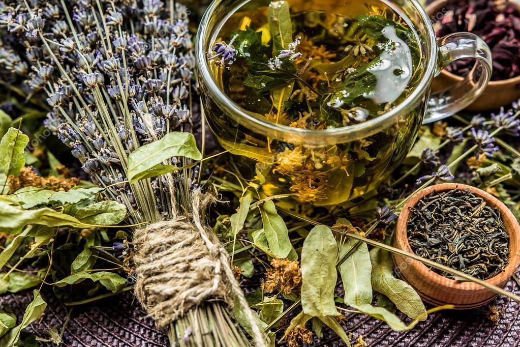 Польза и вред лавандового чая: рецепты заваривания