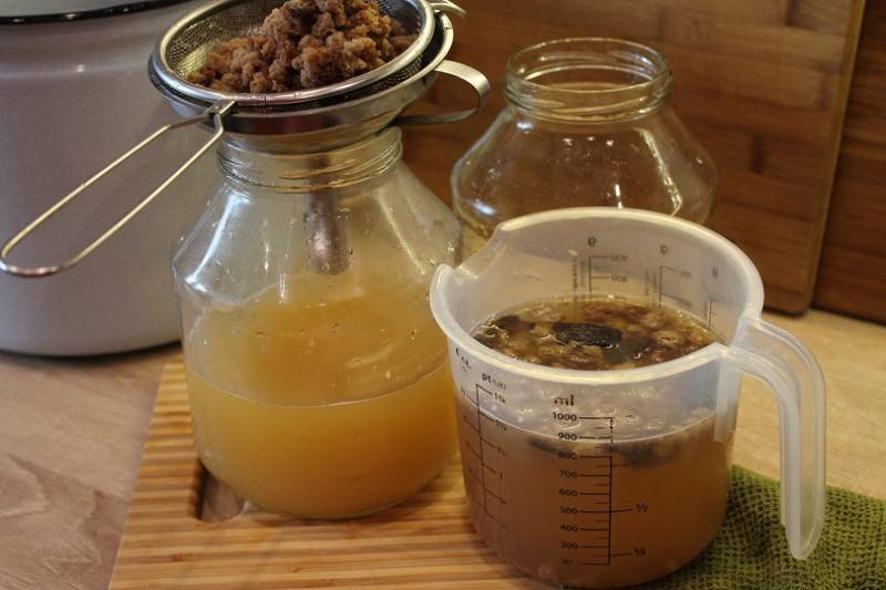 Берёзовый квас – вкусно, быстро и ничего сложного! готовим квас из берёзового сока с сухофруктами, вишней и даже с кофе