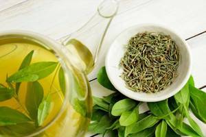 4 полезных свойства зелёного чая, которые делают его незаменимым при грудном вскармливании