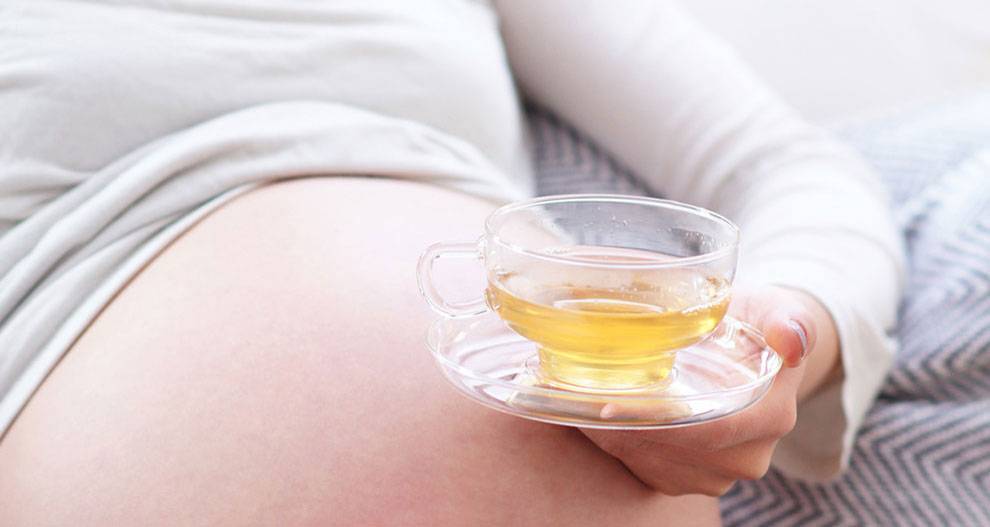 Разрешен ли прием душицы и чабреца во время беременности?