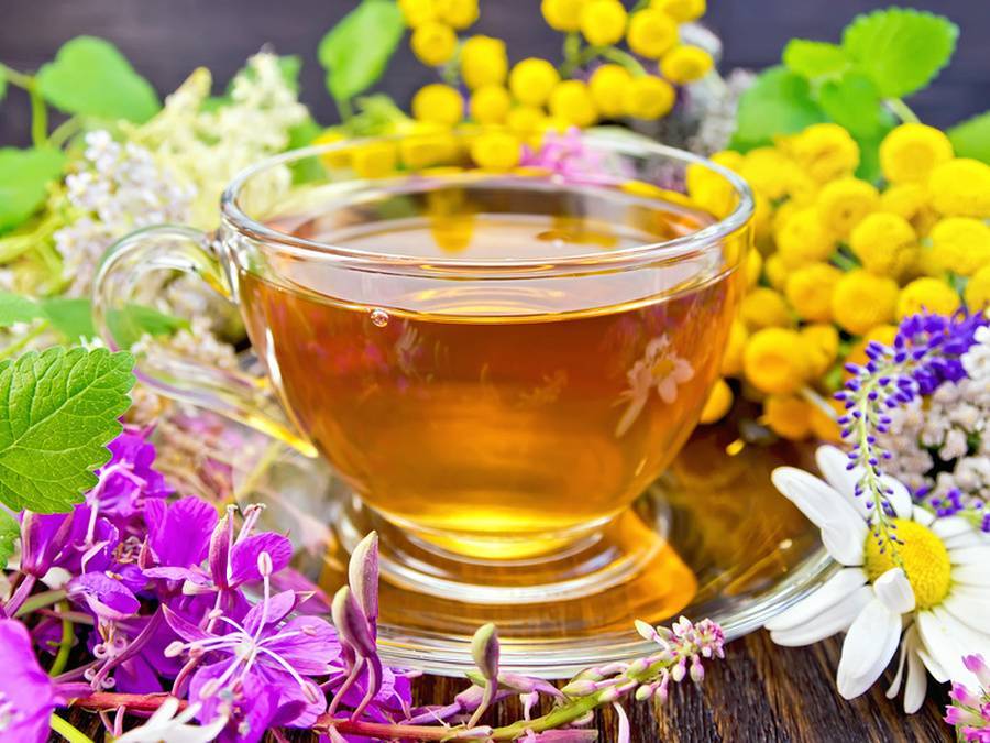 8 рецептов чая с шалфеем, после которых вы будете здоровы