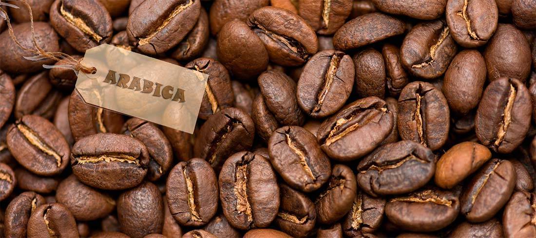 Характеристика вьетнамского кофе