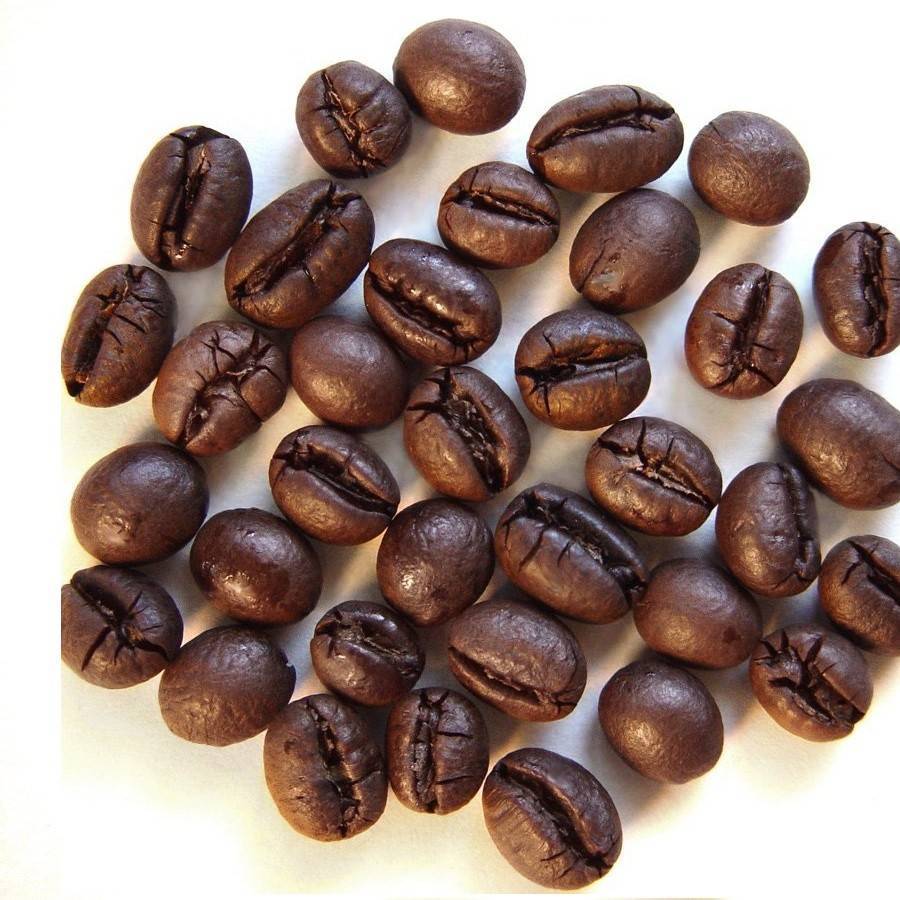Особенности ухода за кофе арабика как за комнатным растением