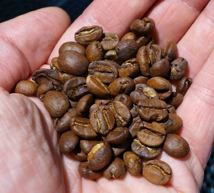 Список сортов кофе - list of coffee varieties - abcdef.wiki