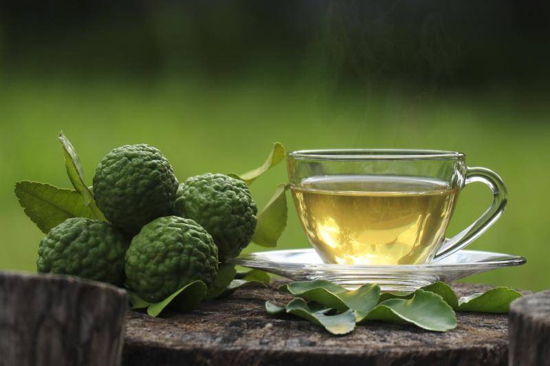 Чай с бергамотом: польза и вред для организма