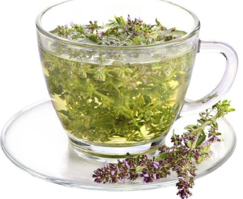 Чай с чабрецом: полезные свойства. чем полезен черный чай с чабрецом и душицей? :: syl.ru