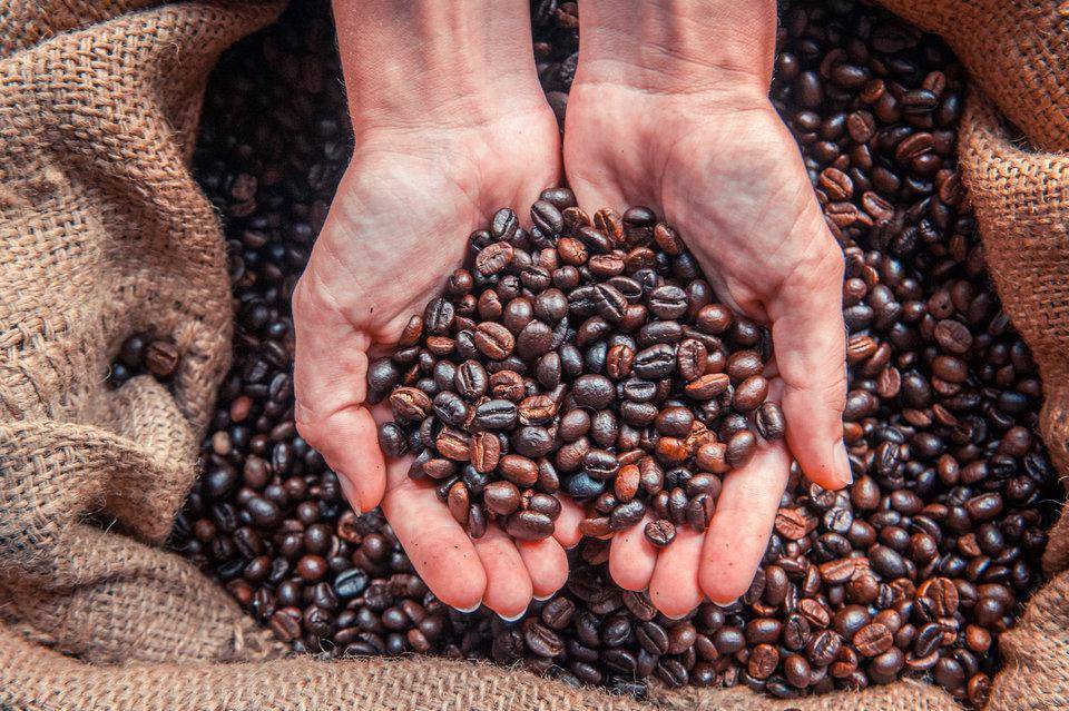 Кофе в гондурасе, история появления, сорта и рецепт