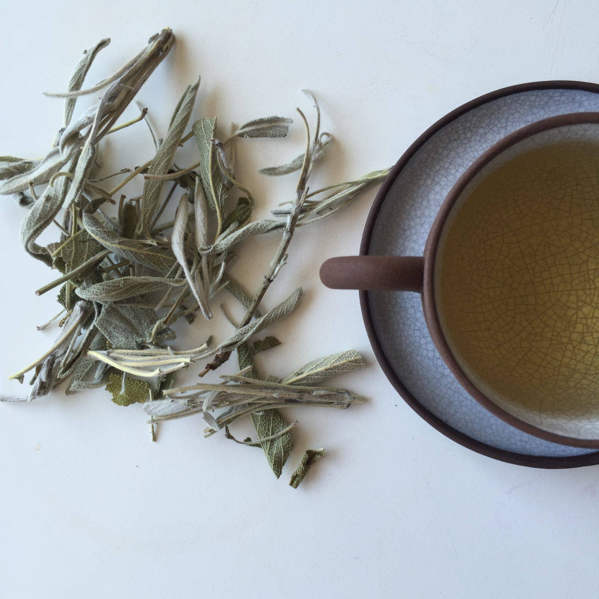 Чай из шалфея: как заваривать, показания к применению, польза и вред