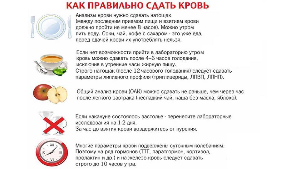 Диета перед сдачей крови: для доноров, на гормоны, сахар, биохимию - medside.ru