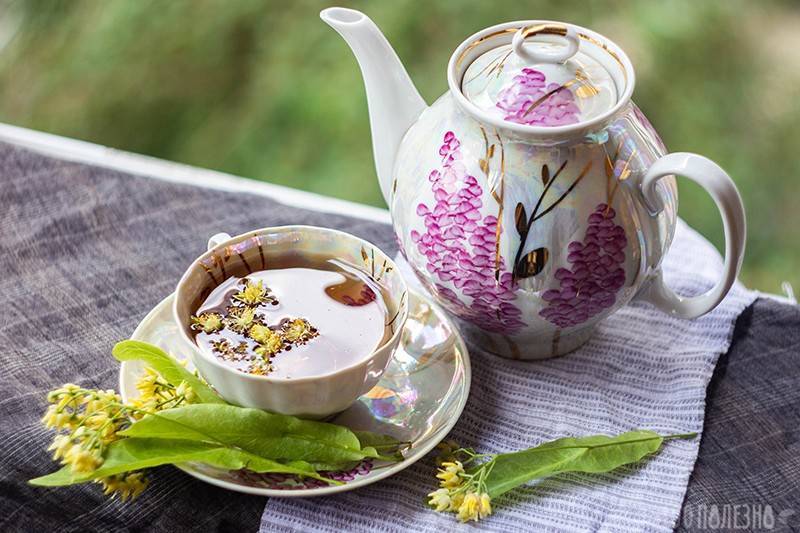 Польза липового чая и правила употребления
