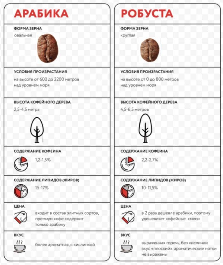 Сорта кофе: названия и их характеристики