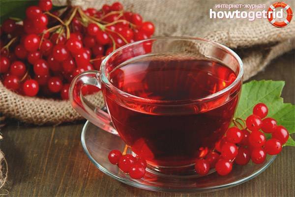 Полезные свойства и рецепты чая с калиной