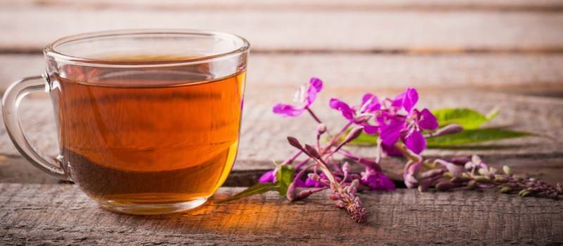 9 способов правильно заварить иван-чай
