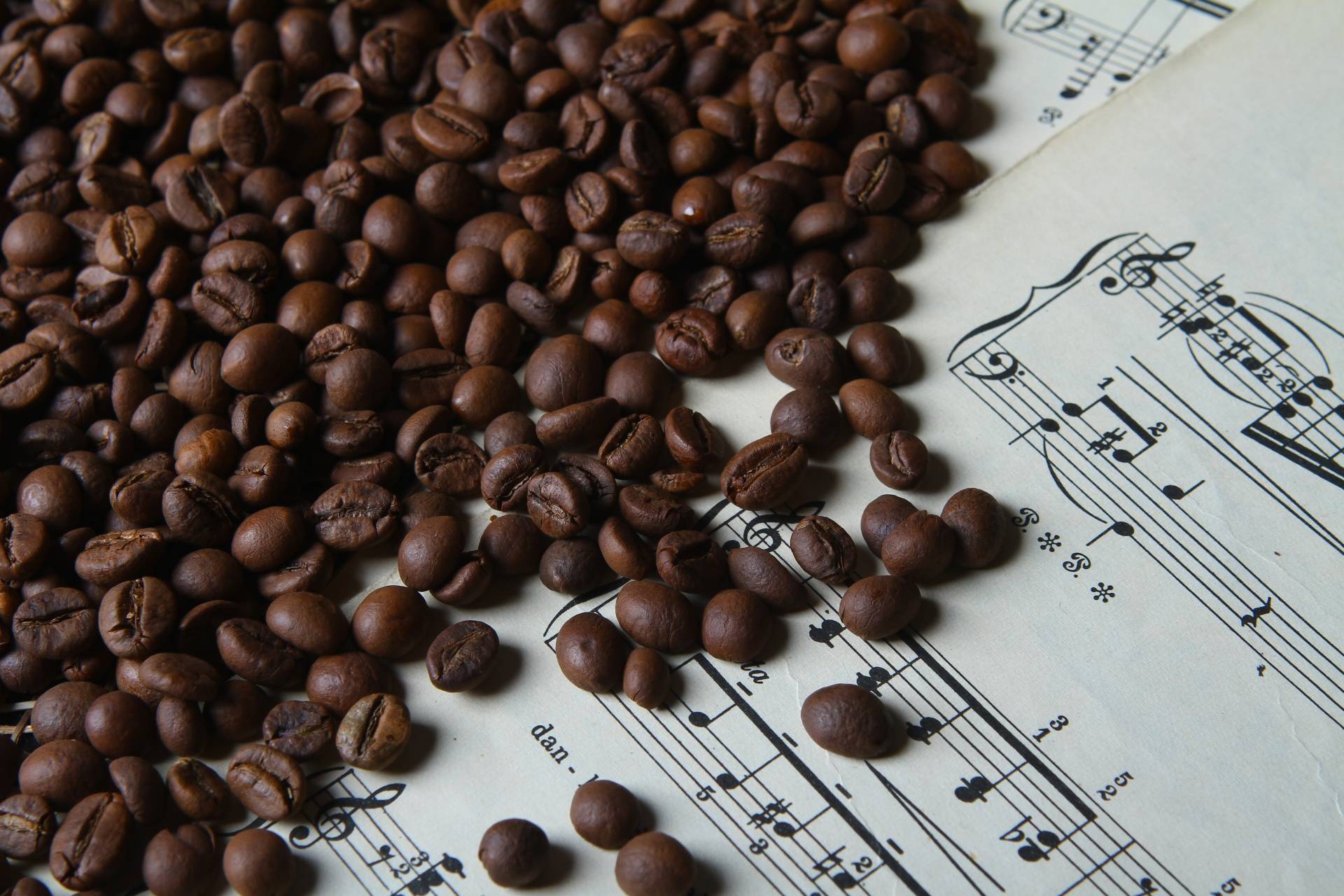 Производство кофе в доминикане - zefirka