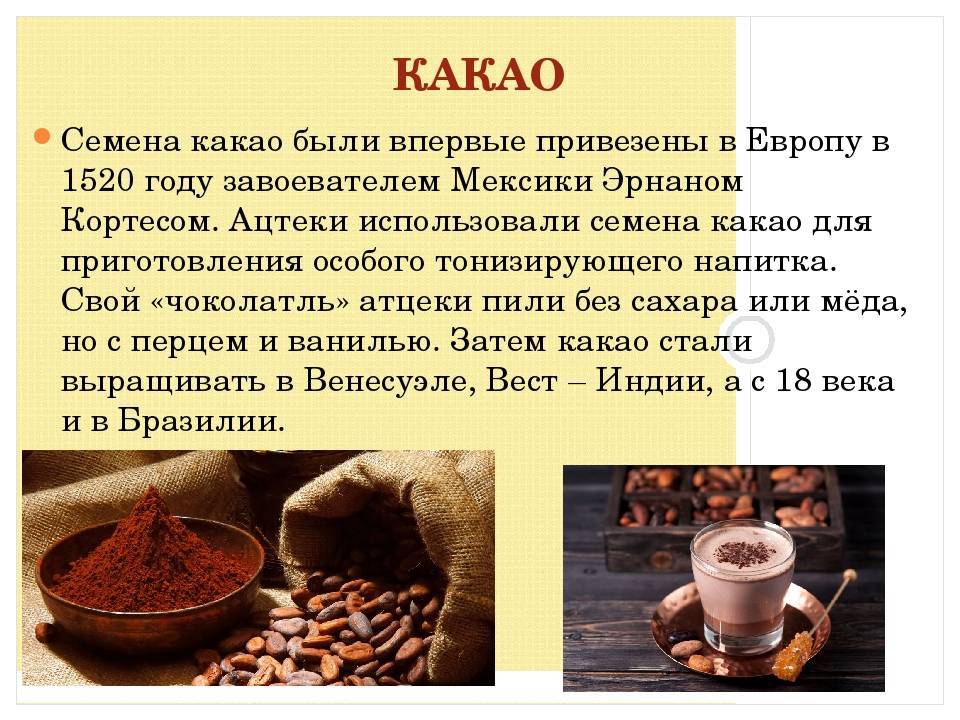 Чудо-бобы какао: удивительная польза и возможный вред для организма. вкусные рецепты для красоты на основе полезного какао - автор екатерина данилова - журнал женское мнение