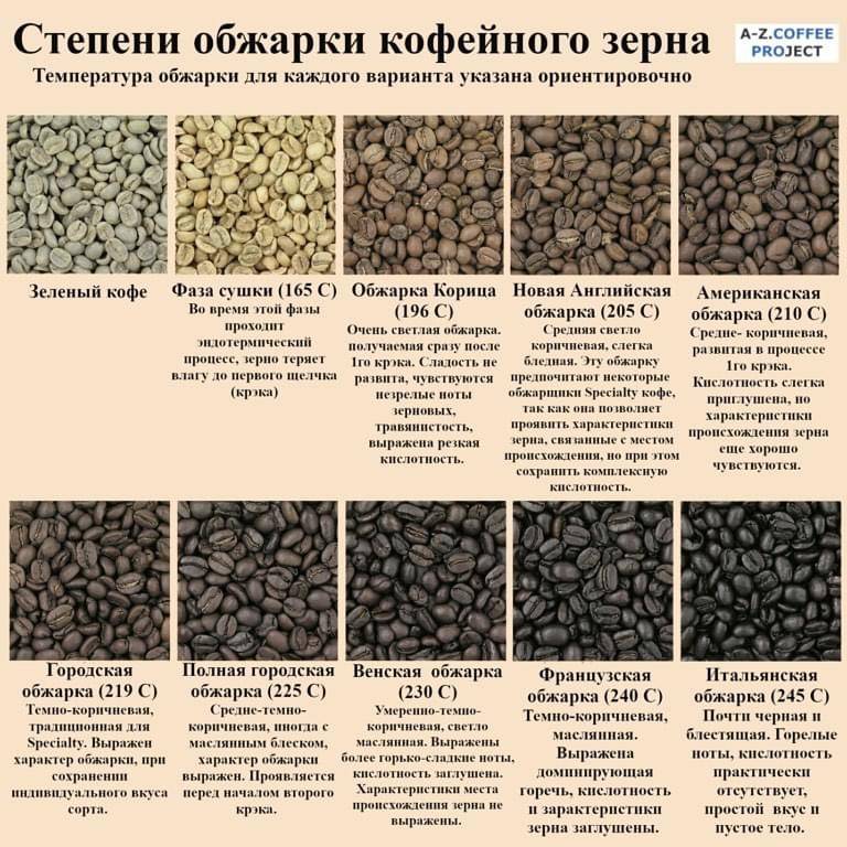 Процесс обжарки кофейных зерен: виды, степени и их отличия, влияние на вкус, способы обжарки