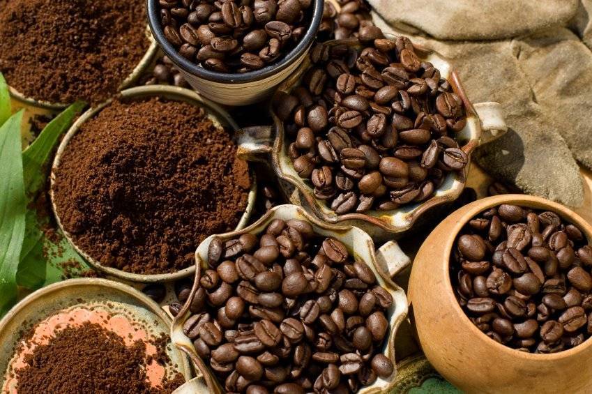 Бразильский кофе: лучшие сорта и способы заваривания