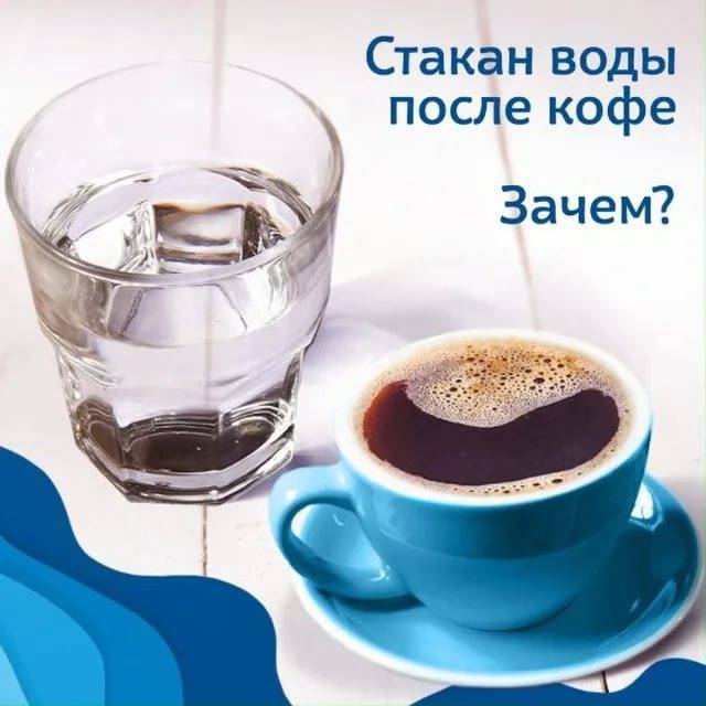 Мода или необходимость: зачем пить воду после кофе?