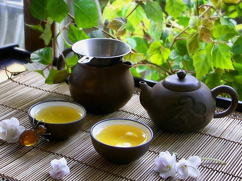 Китайский чай да хун пао - эффект, как заваривать, свойства
