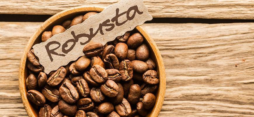 Лювак — самый дорогой и необычный кофе