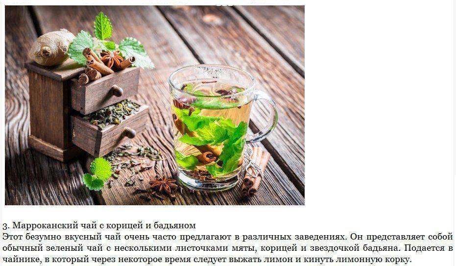 Польза и противопоказания бадьяна. рецепты чая и блюд из бадьяна